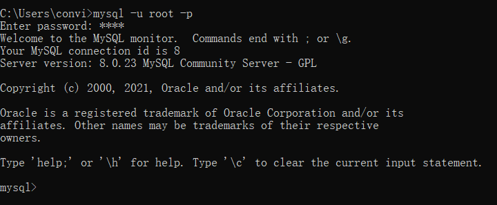 image-20210211163623992